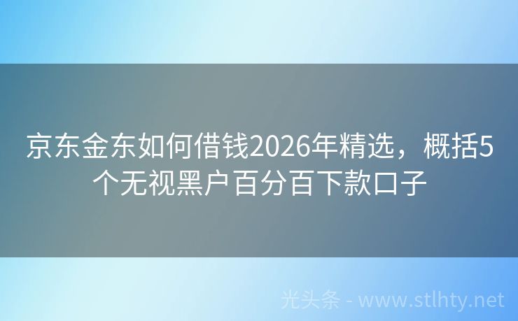 京东金东如何借钱2026年精选，概括5个无视黑户百分百下款口子
