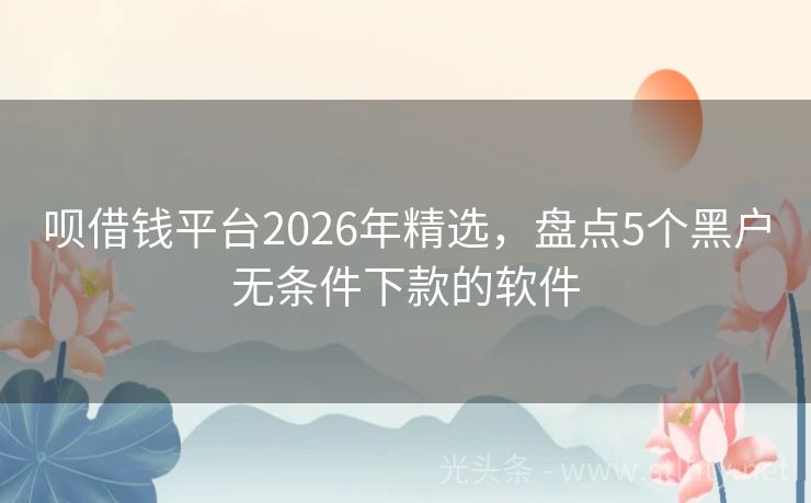呗借钱平台2026年精选，盘点5个黑户无条件下款的软件