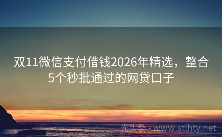 双11微信支付借钱2026年精选，整合5个秒批通过的网贷口子