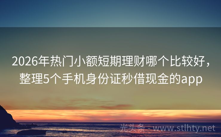 2026年热门小额短期理财哪个比较好，整理5个手机身份证秒借现金的app