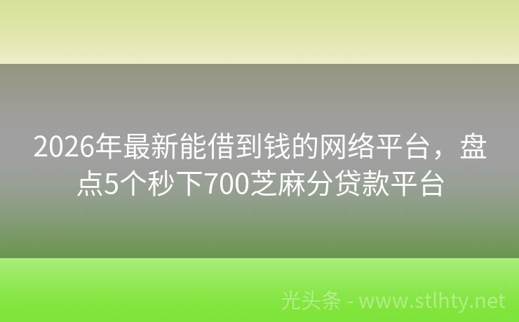 2026年最新能借到钱的网络平台，盘点5个秒下700芝麻分贷款平台