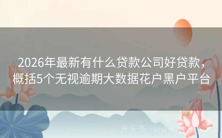 2026年最新有什么贷款公司好贷款，概括5个无视逾期大数据花户黑户平台