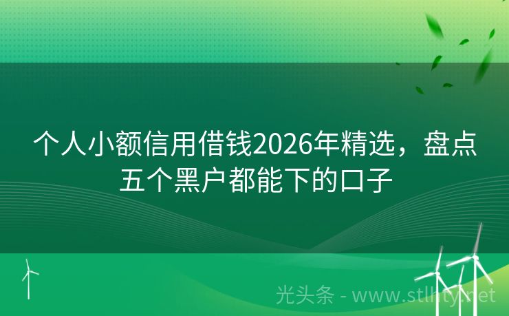个人小额信用借钱2026年精选，盘点五个黑户都能下的口子