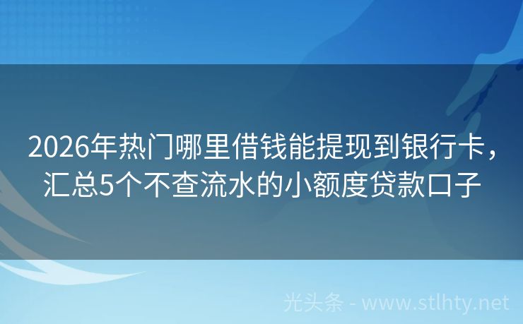 2026年热门哪里借钱能提现到银行卡，汇总5个不查流水的小额度贷款口子