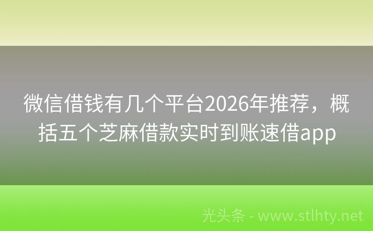 微信借钱有几个平台2026年推荐，概括五个芝麻借款实时到账速借app