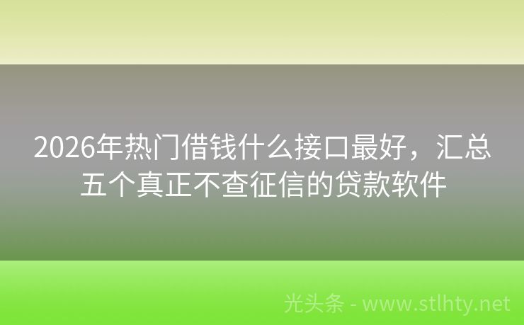2026年热门借钱什么接口最好，汇总五个真正不查征信的贷款软件