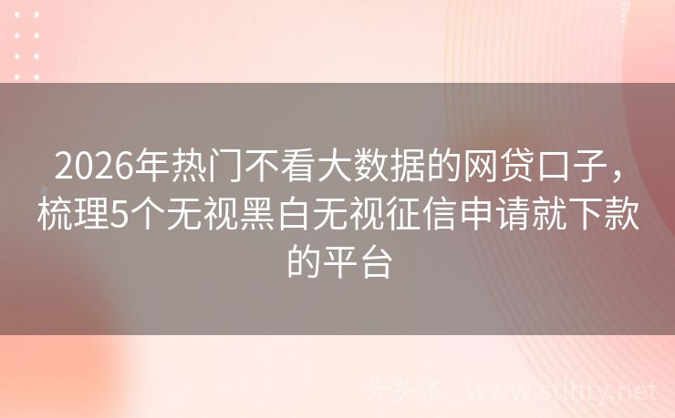 2026年热门不看大数据的网贷口子，梳理5个无视黑白无视征信申请就下款的平台