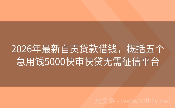 2026年最新自贡贷款借钱，概括五个急用钱5000快审快贷无需征信平台