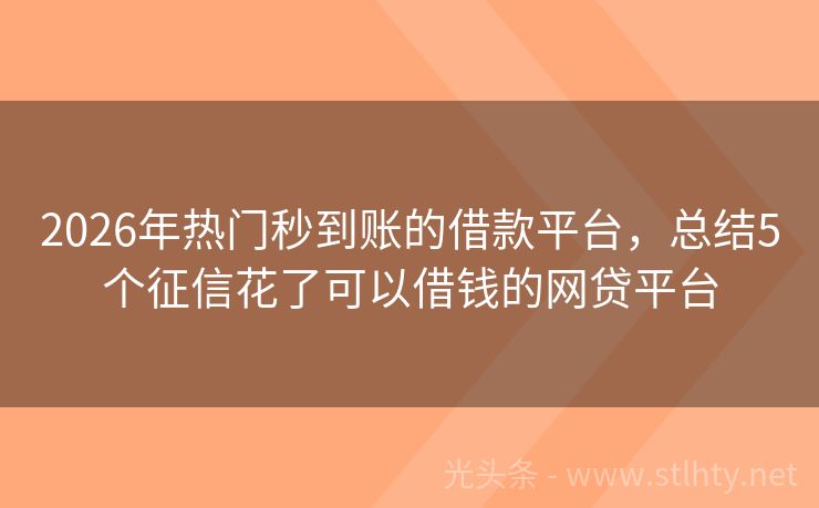 2026年热门秒到账的借款平台，总结5个征信花了可以借钱的网贷平台