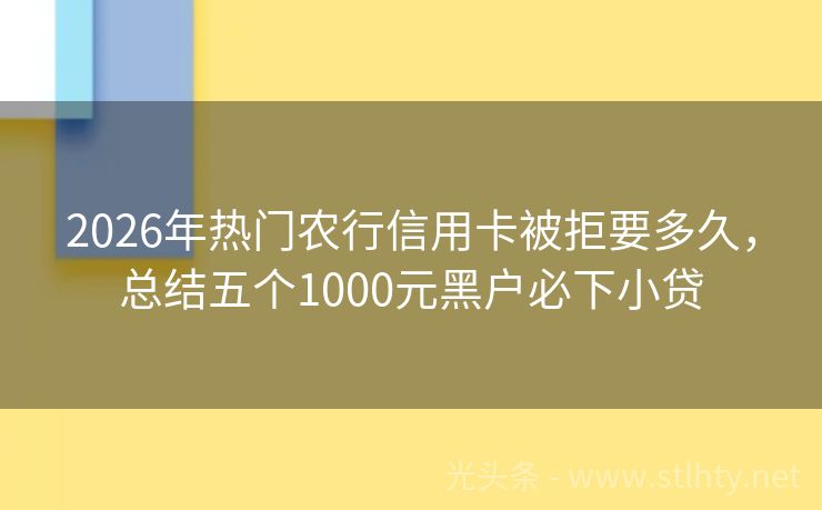 2026年热门农行信用卡被拒要多久，总结五个1000元黑户必下小贷