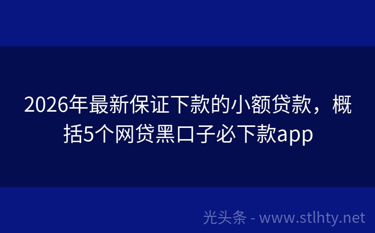 2026年最新保证下款的小额贷款，概括5个网贷黑口子必下款app