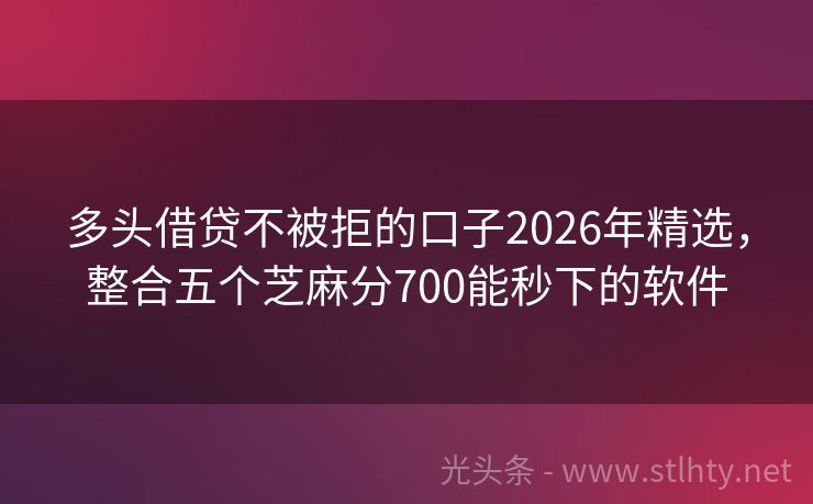 多头借贷不被拒的口子2026年精选，整合五个芝麻分700能秒下的软件