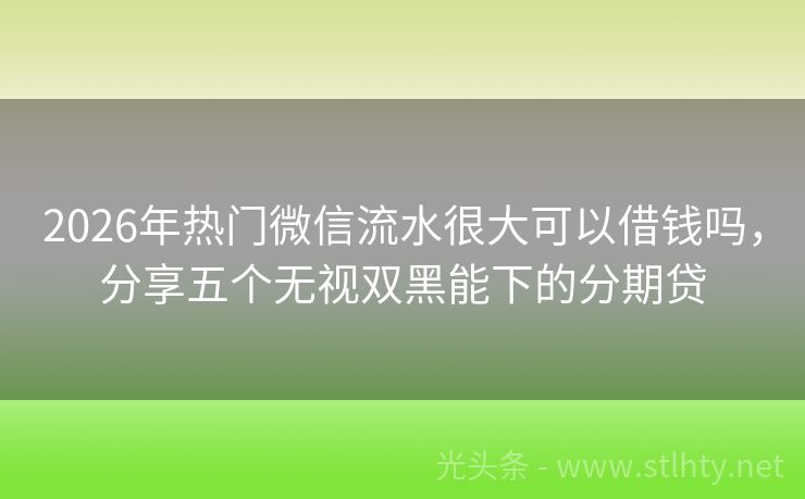 2026年热门微信流水很大可以借钱吗，分享五个无视双黑能下的分期贷