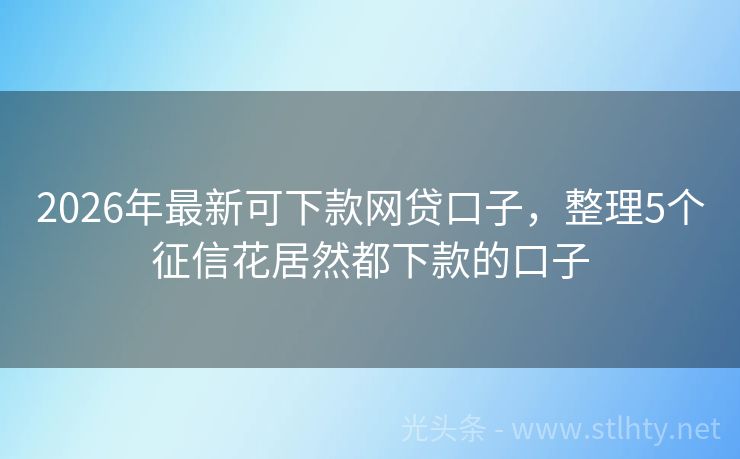 2026年最新可下款网贷口子，整理5个征信花居然都下款的口子