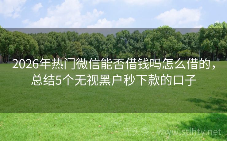 2026年热门微信能否借钱吗怎么借的，总结5个无视黑户秒下款的口子