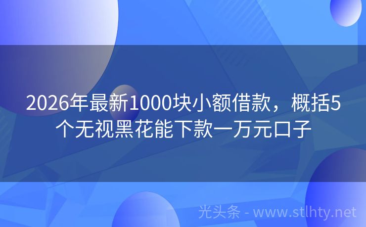 2026年最新1000块小额借款，概括5个无视黑花能下款一万元口子