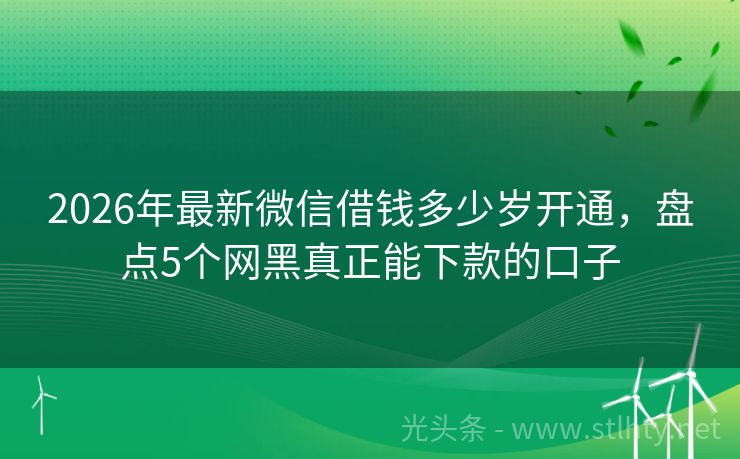 2026年最新微信借钱多少岁开通，盘点5个网黑真正能下款的口子