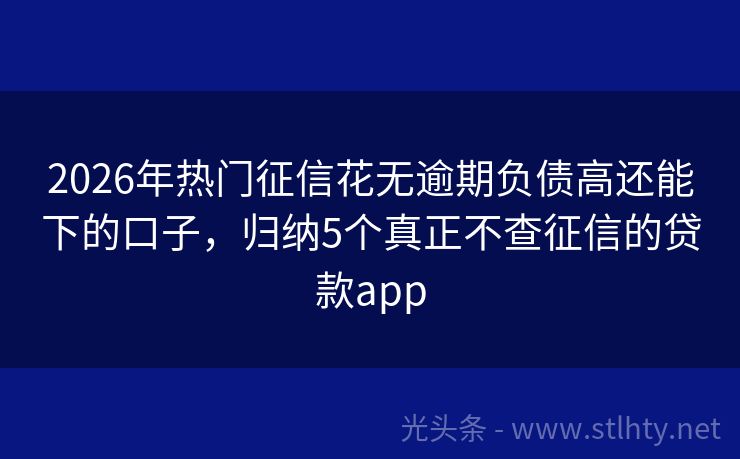 2026年热门征信花无逾期负债高还能下的口子,归纳5个真正不查征信的贷款app