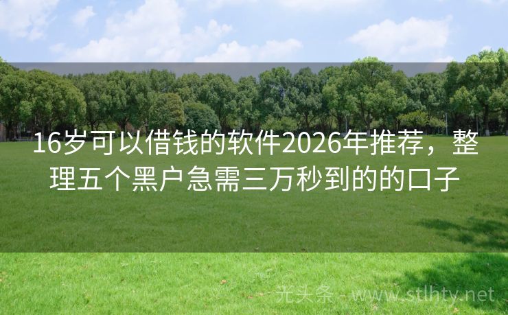 16岁可以借钱的软件2026年推荐，整理五个黑户急需三万秒到的的口子