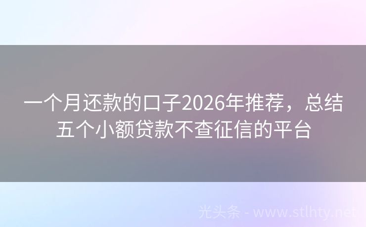 一个月还款的口子2026年推荐，总结五个小额贷款不查征信的平台