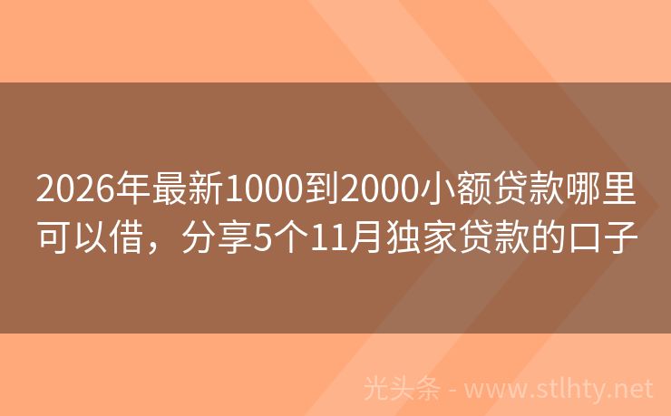 2026年最新1000到2000小额贷款哪里可以借，分享5个11月独家贷款的口子