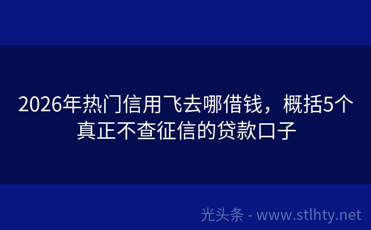 2026年热门信用飞去哪借钱，概括5个真正不查征信的贷款口子