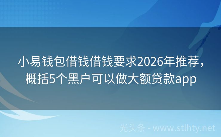 小易钱包借钱借钱要求2026年推荐，概括5个黑户可以做大额贷款app