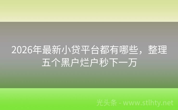 2026年最新小贷平台都有哪些，整理五个黑户烂户秒下一万
