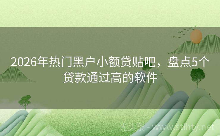 2026年热门黑户小额贷贴吧，盘点5个贷款通过高的软件