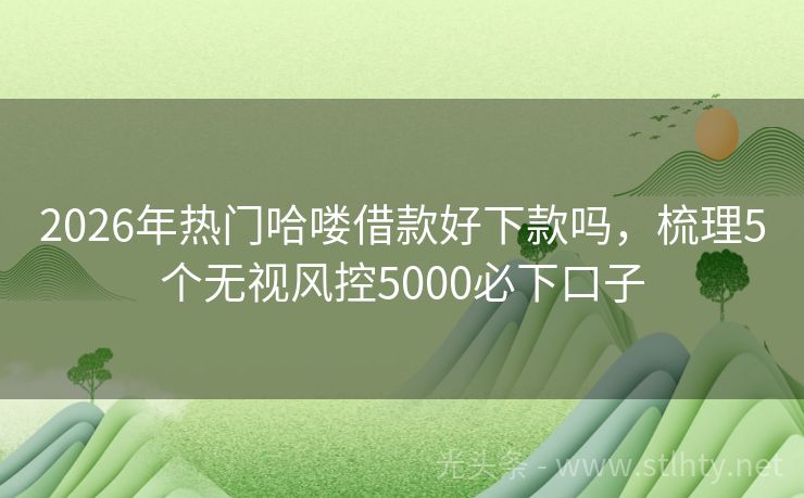2026年热门哈喽借款好下款吗，梳理5个无视风控5000必下口子