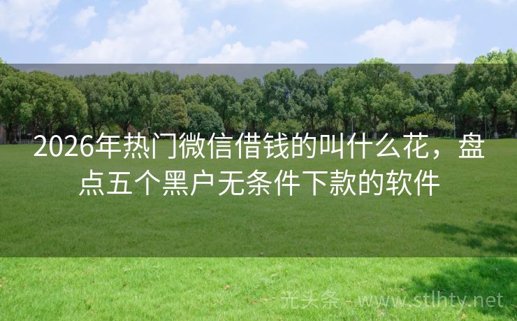 2026年热门微信借钱的叫什么花，盘点五个黑户无条件下款的软件