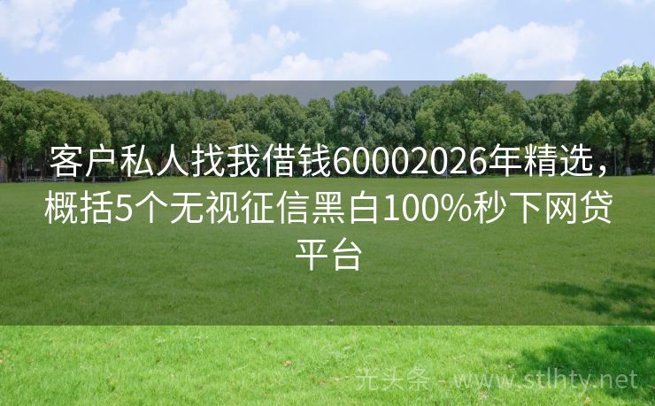 客户私人找我借钱60002026年精选,概括5个无视征信黑白100%秒下网贷平台