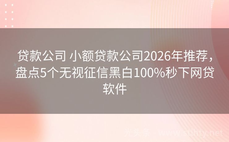 贷款公司 小额贷款公司2026年推荐，盘点5个无视征信黑白100%秒下网贷软件
