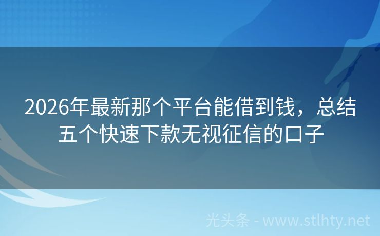 2026年最新那个平台能借到钱，总结五个快速下款无视征信的口子