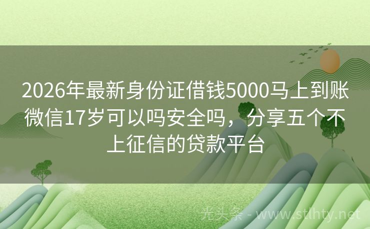 2026年最新身份证借钱5000马上到账微信17岁可以吗安全吗，分享五个不上征信的贷款平台