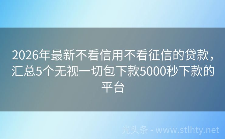 2026年最新不看信用不看征信的贷款，汇总5个无视一切包下款5000秒下款的平台