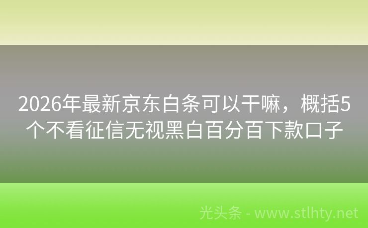 2026年最新京东白条可以干嘛，概括5个不看征信无视黑白百分百下款口子