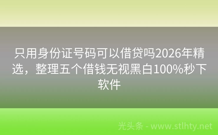 只用身份证号码可以借贷吗2026年精选，整理五个借钱无视黑白100%秒下软件