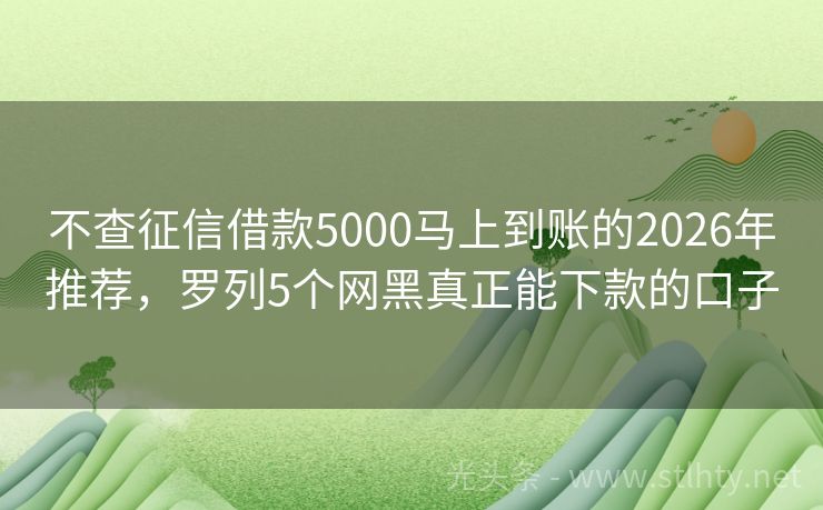 不查征信借款5000马上到账的2026年推荐，罗列5个网黑真正能下款的口子