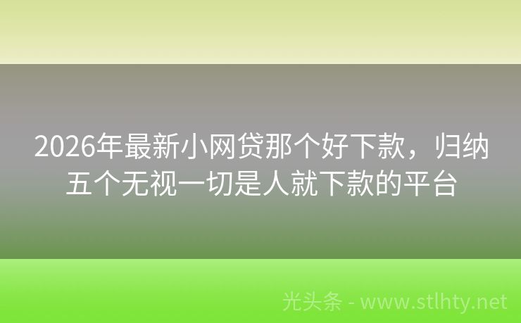 2026年最新小网贷那个好下款，归纳五个无视一切是人就下款的平台