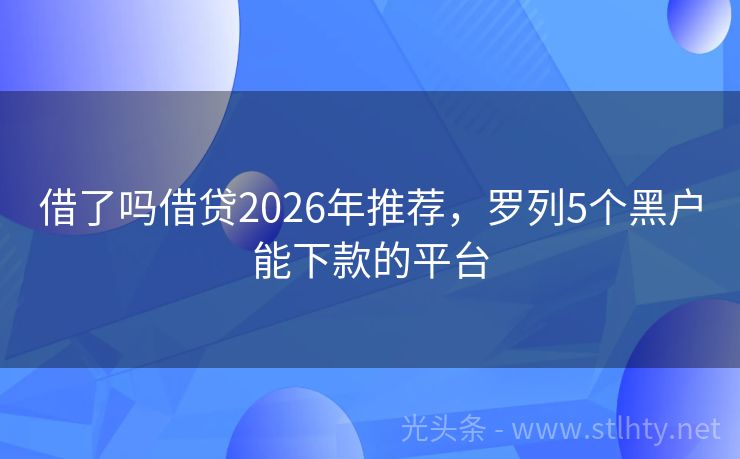 借了吗借贷2026年推荐，罗列5个黑户能下款的平台