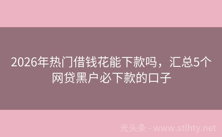 2026年热门借钱花能下款吗，汇总5个网贷黑户必下款的口子
