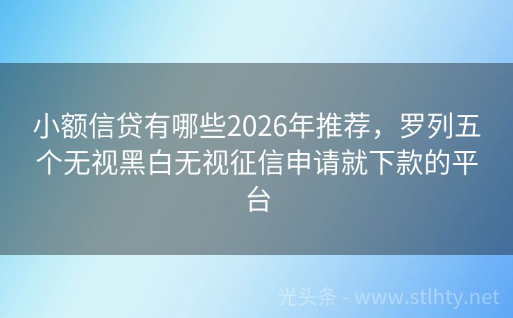 小额信贷有哪些2026年推荐，罗列五个无视黑白无视征信申请就下款的平台