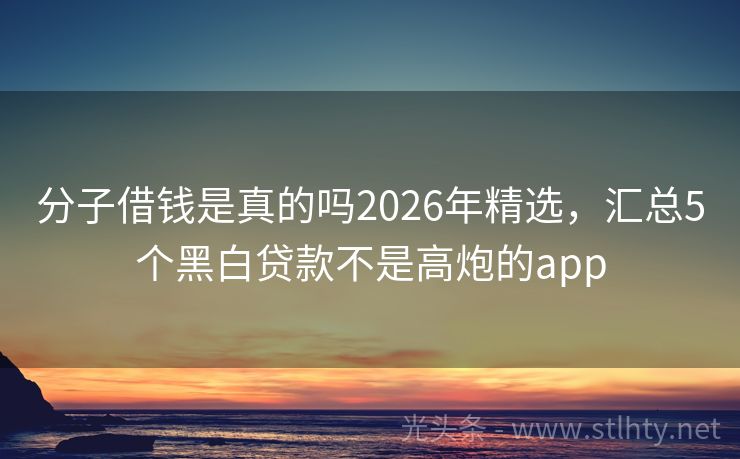 分子借钱是真的吗2026年精选，汇总5个黑白贷款不是高炮的app