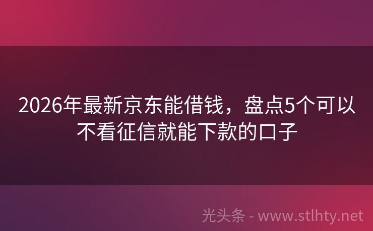 2026年最新京东能借钱，盘点5个可以不看征信就能下款的口子