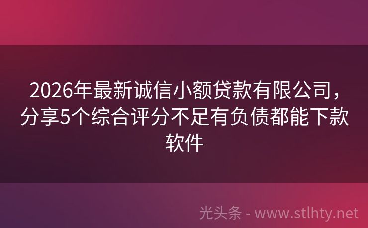 2026年最新诚信小额贷款有限公司，分享5个综合评分不足有负债都能下款软件