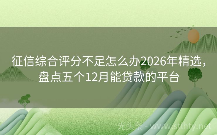 征信综合评分不足怎么办2026年精选，盘点五个12月能贷款的平台