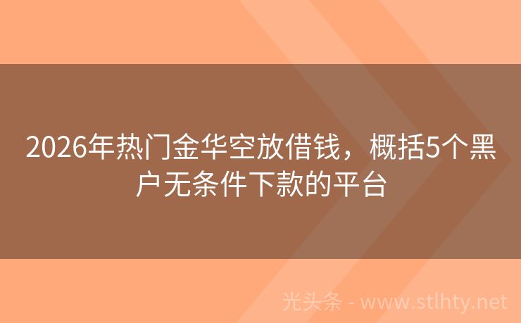 2026年热门金华空放借钱，概括5个黑户无条件下款的平台