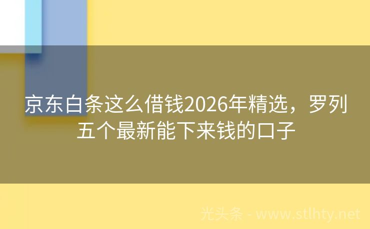 京东白条这么借钱2026年精选，罗列五个最新能下来钱的口子