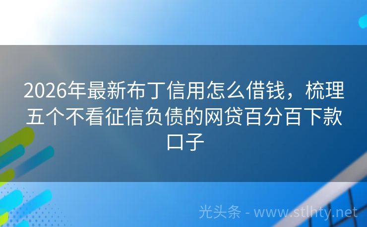 2026年最新布丁信用怎么借钱，梳理五个不看征信负债的网贷百分百下款口子